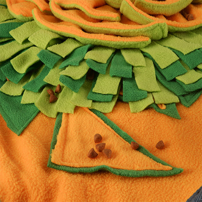 New Pet Snuffle Mat and Slow Feeder Bowl Toy